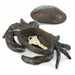 Cast Iron Crab Key Hider - Giftscircle