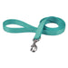 Coastal Pet Double-ply Nylon Dog Lead Teal - 48"L x 1"W - Giftscircle