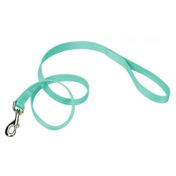 Coastal Pet Single-ply Teal Nylon Dog Lead - 4'L x 1"W - Giftscircle