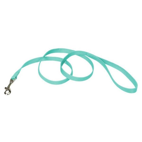 Coastal Pet Single-ply Teal Nylon Dog Lead - 4'L x 5/8"W - Giftscircle