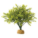 Exo Terra Boxwood Bush Terrarium Plant - 1 count - Giftscircle