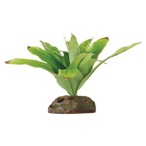 Exo Terra Dart Frog Bromelia Smart Terrarium Plant - Small - 1 count - Giftscircle