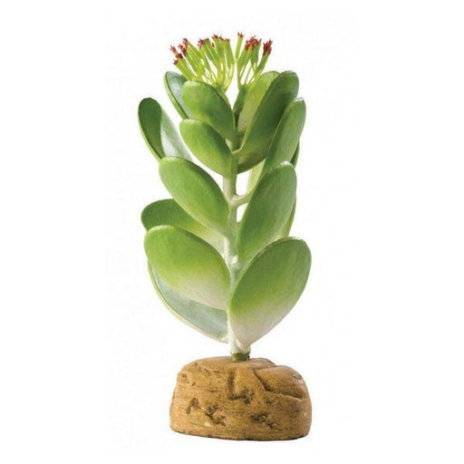 Exo-Terra Desert Jade Cactus Terrarium Plant - 1 Pack - Giftscircle