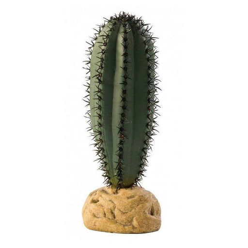 Exo-Terra Desert Saguaro Cactus Terrarium Plant - 1 Pack - Giftscircle