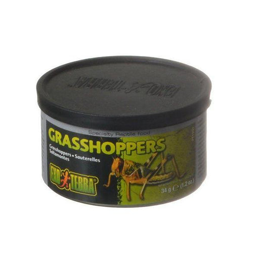 Exo-Terra Grasshoppers Reptile Food - 1.2 oz (34 g) - Giftscircle