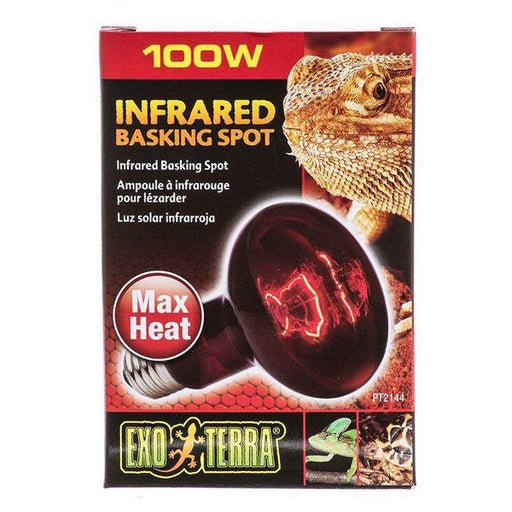 Exo-Terra Heat Glo Infrared Heat Lamp - 100 Watts - Giftscircle