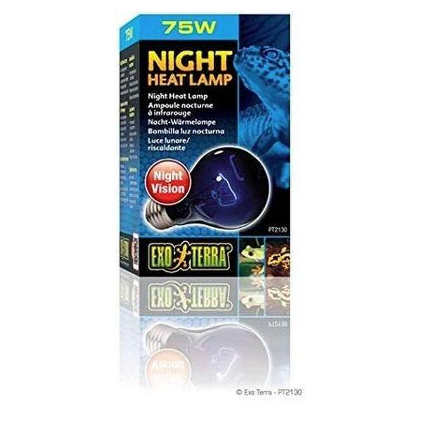 Exo-Terra Night Heat Lamp - 75 Watts - A19 - Giftscircle