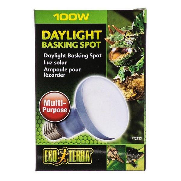 Exo-Terra Sun Glo Neodymium Basking Spot Lamps - 100 Watts - Giftscircle