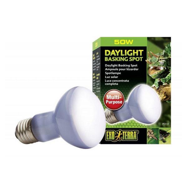 Exo-Terra Sun Glo Neodymium Basking Spot Lamps - 50 Watts - Giftscircle