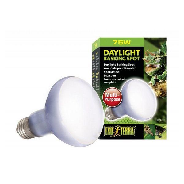 Exo-Terra Sun Glo Neodymium Basking Spot Lamps - 75 Watts - Giftscircle