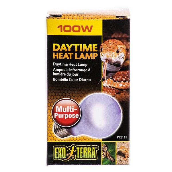 Exo-Terra Sun Glo Neodymium Daylight Lamps - 100 Watts - A19 - Giftscircle