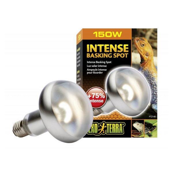 Exo-Terra Sun Glo Tight Beam Basking Spot Lamps - 150 Watts - Giftscircle