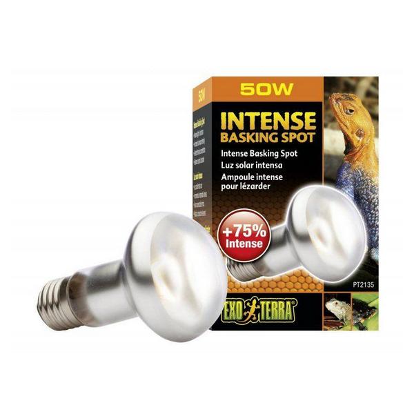 Exo-Terra Sun Glo Tight Beam Basking Spot Lamps - 50 Watts - Giftscircle