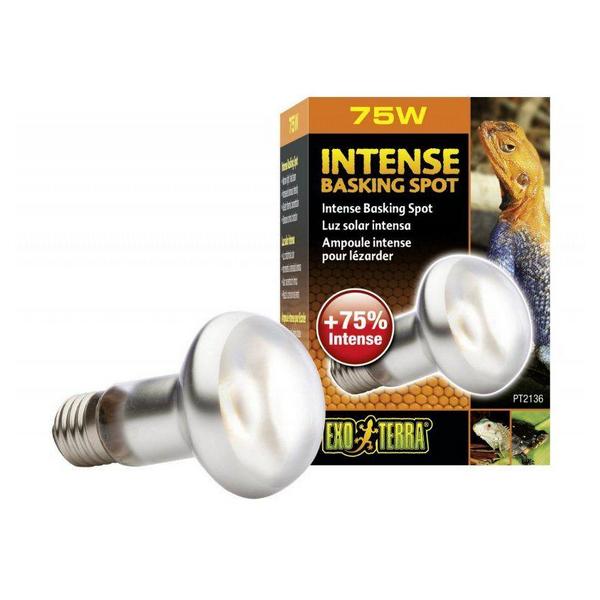 Exo-Terra Sun Glo Tight Beam Basking Spot Lamps - 75 Watts - Giftscircle