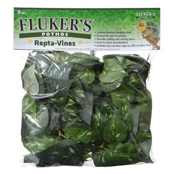 Flukers Pothos Repta-Vines - 6' Long - Giftscircle