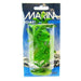 Marina Hygrophila Plant - 5" Tall - Giftscircle